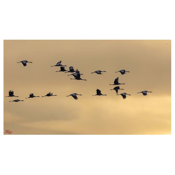 PHOTO84, CLUB, 84 , LUBERON